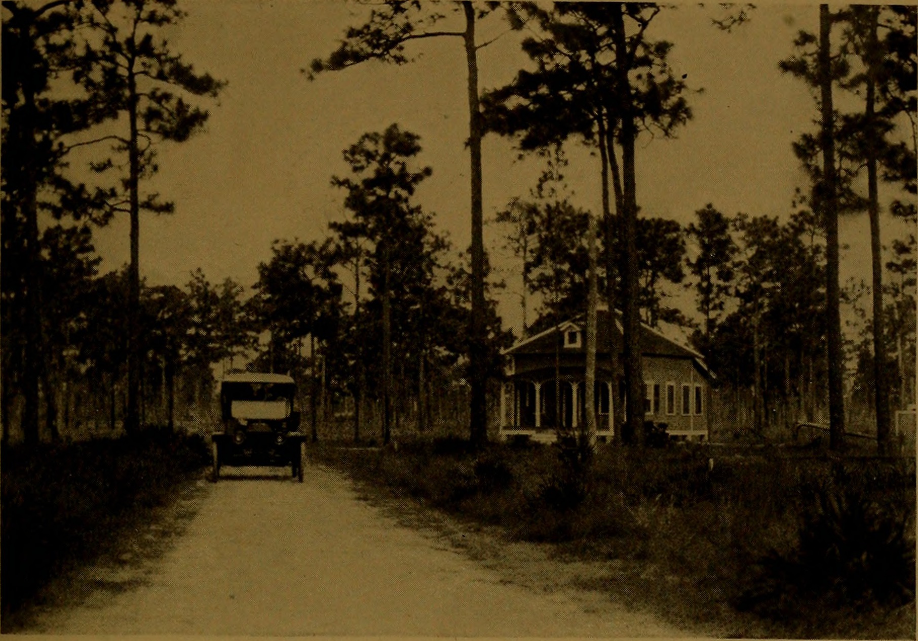 Children walking outside a mid-century Florida public school.