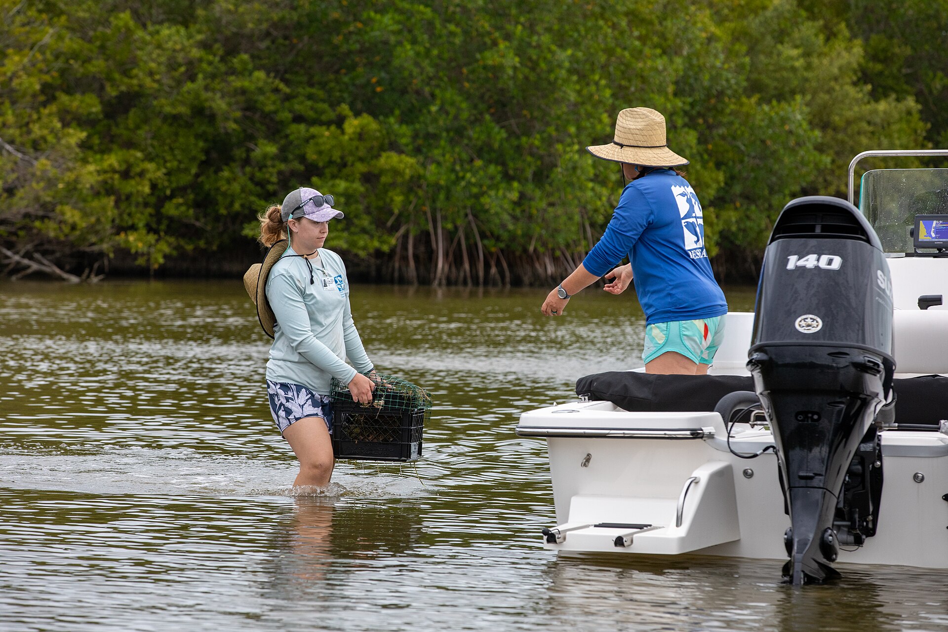 NASA Sea Grass Restoration Project in the Indian River Lagoon, 2023.